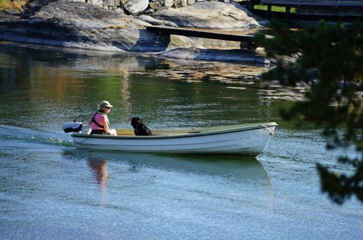 Canoe Motor