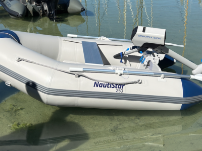 Bucher & Walt NautiStar 250