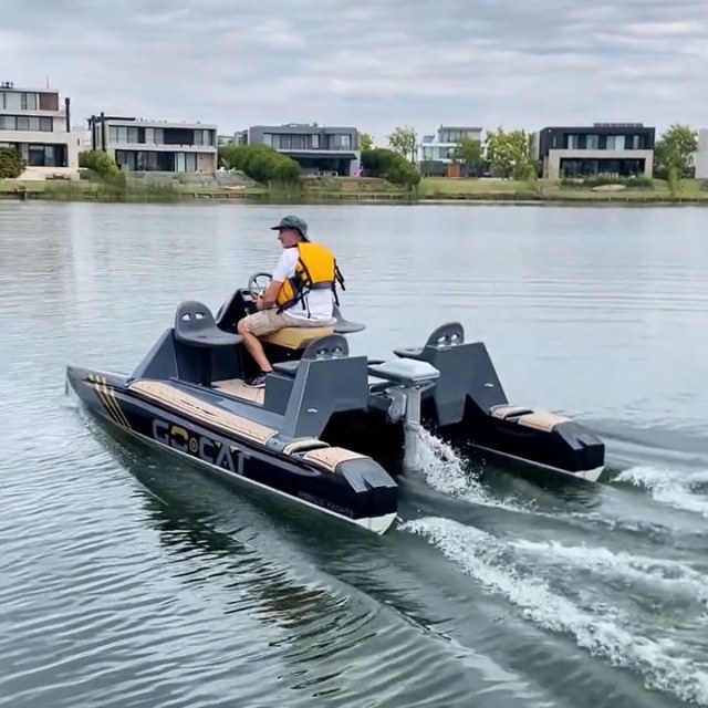 Naval Electric - Go Cat