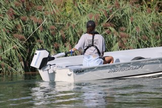Motocraft - Fish 400