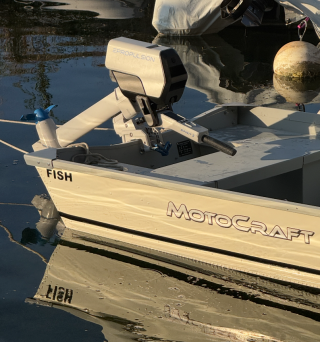 Motocraft - Fish 400