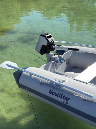 Bucher & Walt - NautiStar 250