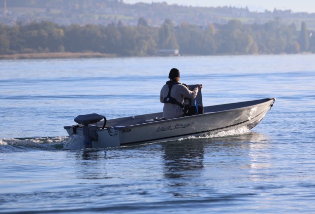Motocraft - Fish 400
