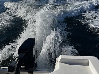 Sea Fox - 160cc
