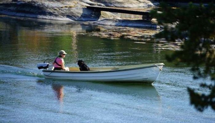 Canoe Motors Guide: Everything You Need to Know (2025 Updates)
