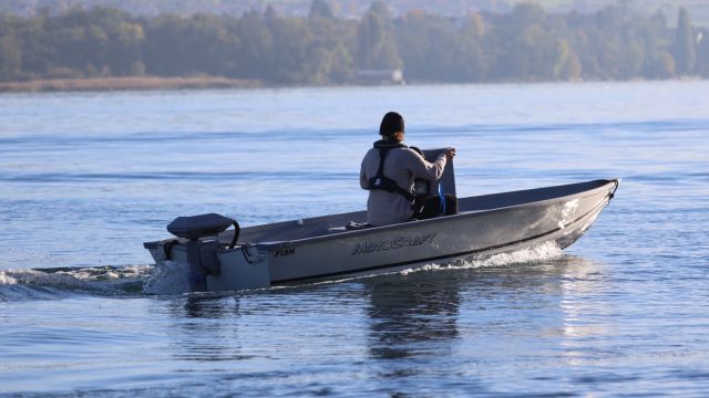 Motocraft Fish 400