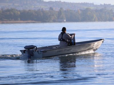 Motocraft Fish 400