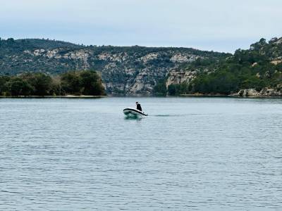 3D Tender FEDERLIGHT