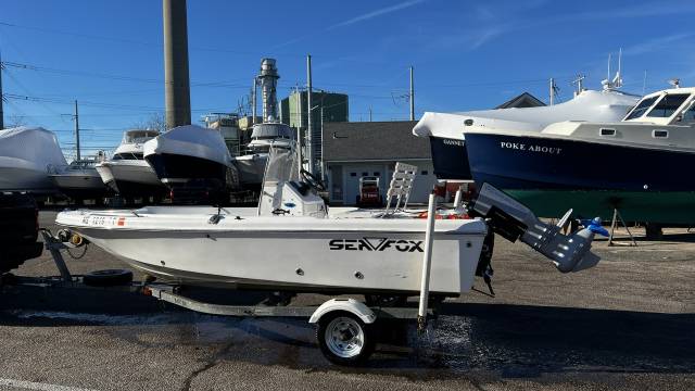 Sea Fox 160cc