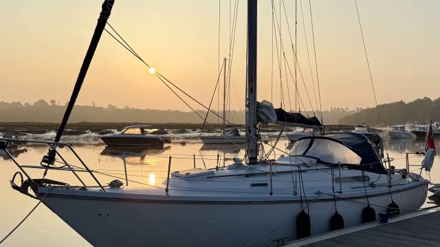 Sadler 29
